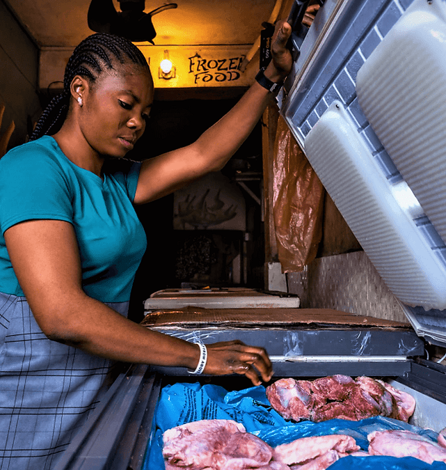 How to Keep Food Frozen for Days Without Electricity: The Koolboks Freezer Advantage
