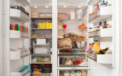 Solar Fridge 101: The Ultimate Guide to Eco-Friendly Refrigeration